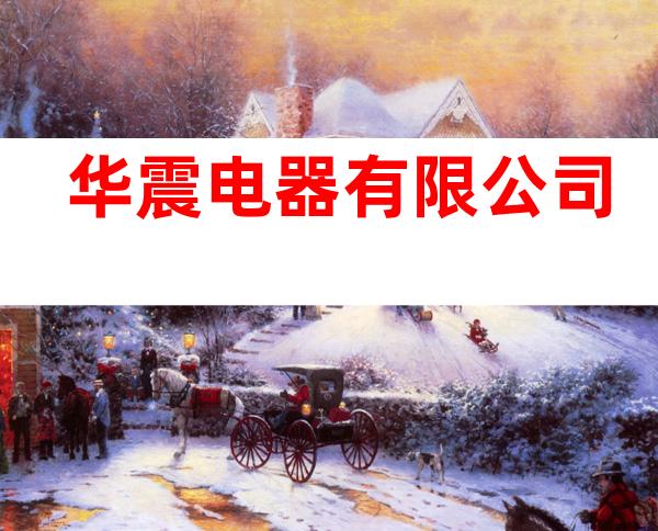 华震电器有限公司